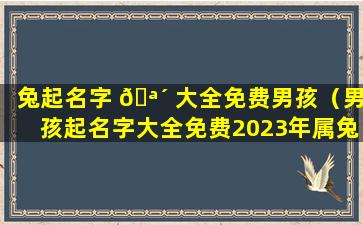 兔起名字 🪴 大全免费男孩（男孩起名字大全免费2023年属兔）